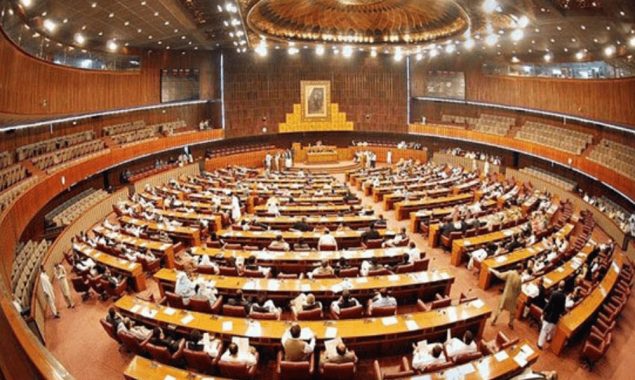 ثانیہ نشتر کی سینٹ نشست پر انتخابی عمل، 8 خواتین امیدوار میدان میں