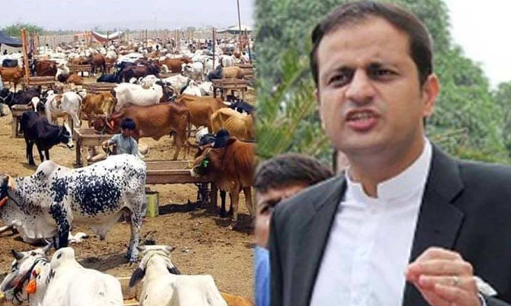 میئر کراچی مرتضیٰ وہاب کا مویشی منڈی کا افتتاح، بہتر انتظامات اور سیکیورٹی کی یقین دہانی