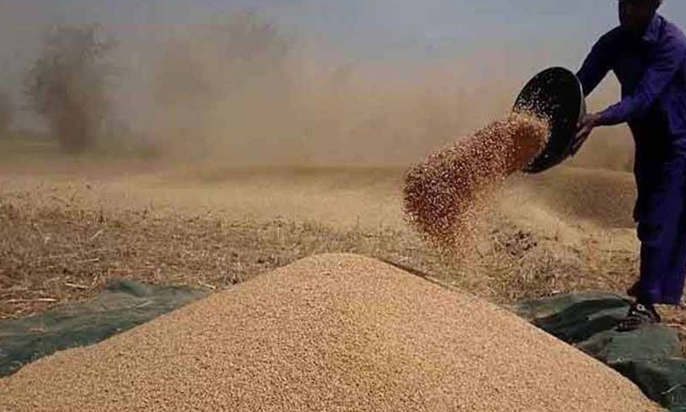 پنجاب میں گندم اور آٹے کی قیمتوں میں اضافہ، روٹی مزید مہنگی ہونے کا امکان