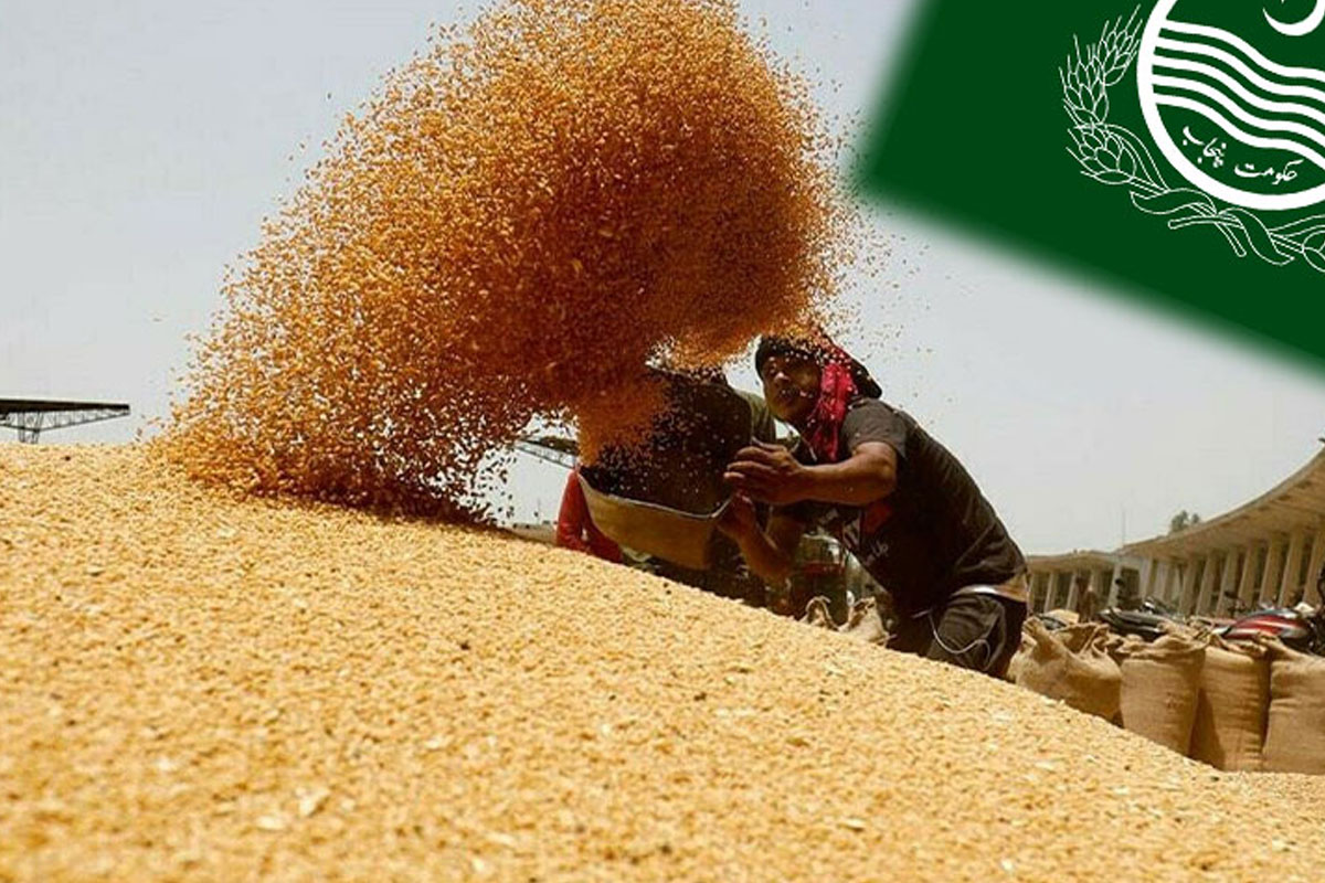 کسان اتحاد کا گندم کا ریٹ مقرر نہ ہونے پر احتجاج کا اعلان، حکومت کو وارننگ