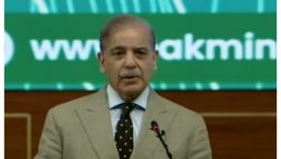 معدنی ذخائر سے مستفید ہوکر پاکستان قرضوں کے چنگل سے آزاد ہوسکتا ہے، وزیراعظم