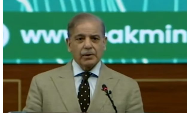 معدنی ذخائر سے مستفید ہوکر پاکستان قرضوں کے چنگل سے آزاد ہوسکتا ہے، وزیراعظم