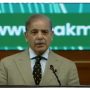 معدنی ذخائر سے مستفید ہوکر پاکستان قرضوں کے چنگل سے آزاد ہوسکتا ہے، وزیراعظم
