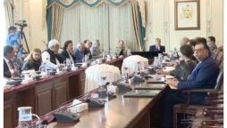 امریکی نئے ٹیرف؛ پاکستان کا مذاکرات کیلئے اعلیٰ سطحی وفد بھیجنے کا فیصلہ