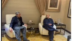 پوری قوم سلامتی کمیٹی کے فیصلوں اور اقدامات کے ساتھ کھڑی ہے، صدر مملکت