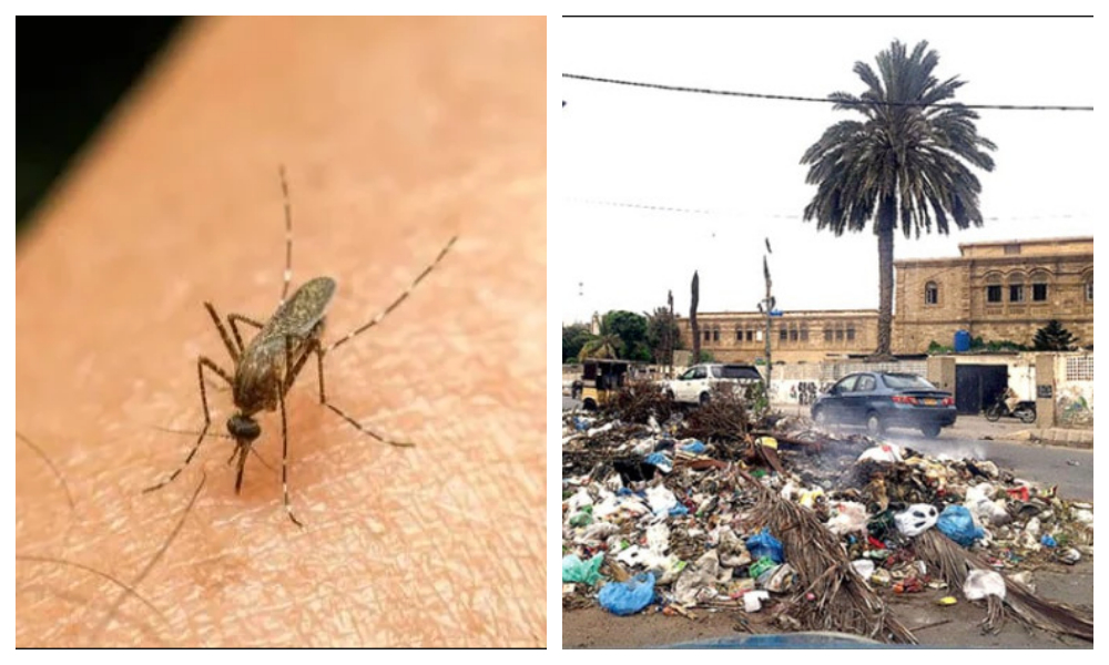 صوبہ سندھ، ناقص نظام سیوریج اور صفائی کے سبب ملیریا کیسز میں ہوشربا اضافہ