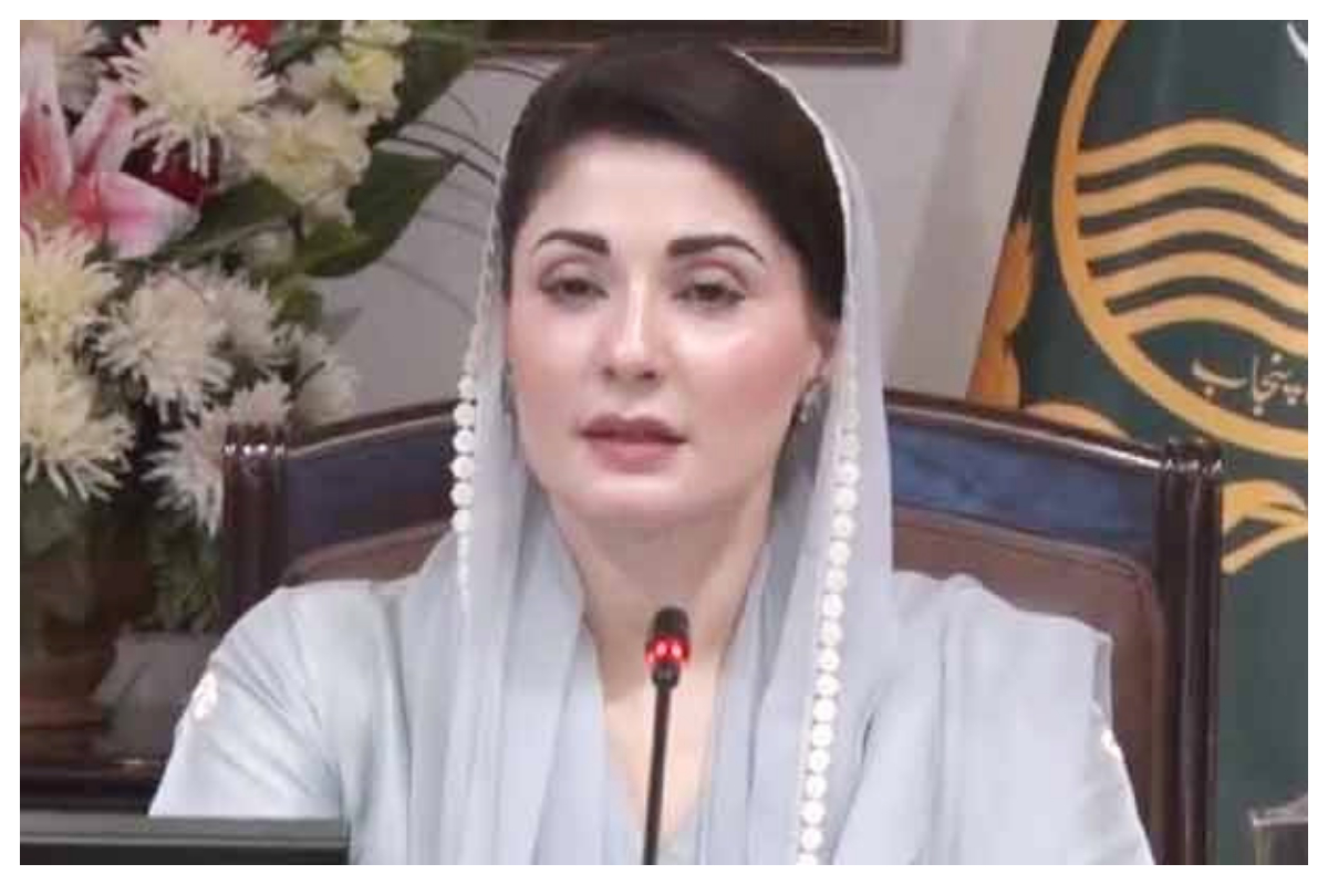 وزیراعلیٰ پنجاب نے تاریخ رقم کردی، 90 روز میں 61 ارب کے قرضوں سے 57913 نئے کاروبار شروع