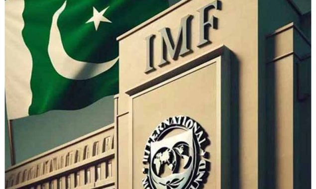 پاکستان کے ساتھ بجٹ پر بات چیت مثبت رہی، نتھن پورٹر
