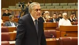 ’’منہ توڑ جواب دینے کیلئے تیار ہیں‘‘، سینٹ میں بھارتی الزامات کیخلاف قرارداد منظور