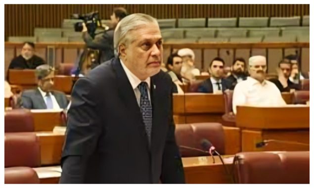 ’’منہ توڑ جواب دینے کیلئے تیار ہیں‘‘، سینٹ میں بھارتی الزامات کیخلاف قرارداد منظور