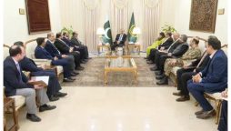 انفارمیشن ٹیکنالوجی کے معروف سرمایہ کاروں کا پاکستان کیلئے 700 ملین ڈالر کی سرمایہ کاری کا اعلان