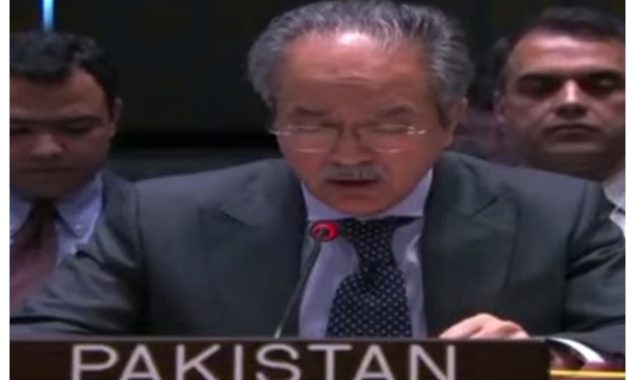 شام کے جولان علاقے پر اسرائیل کا قبضہ غیر قانونی ہے، عاصم افتخار