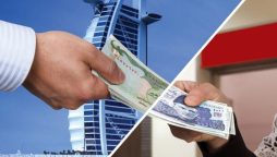 بیرونِ ملک مقیم پاکستانی، ترسیلات زر کے ذریعے پاکستان کی معیشت کے بڑے معاون