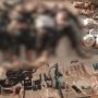 سوات میں سیکیورٹی فورسز کا کامیاب آپریشن، 4 خارجی دہشت گرد جہنم واصل