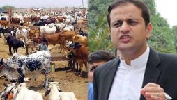 میئر کراچی مرتضیٰ وہاب کا مویشی منڈی کا افتتاح، بہتر انتظامات اور سیکیورٹی کی یقین دہانی