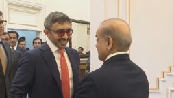وزیراعظم سے یو اے ای کے نائب وزیراعظم کی اہم ملاقات؛ دوطرفہ تعلقات پر تبادلہ خیال
