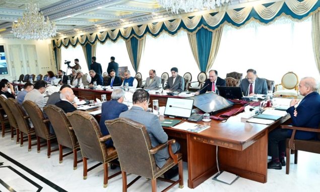 پاکستانی مصنوعات پر 29 فیصد امریکی ٹیرف عائد ہونے کا معاملہ؛ حکومت نے حکمت عملی تیار کرلی