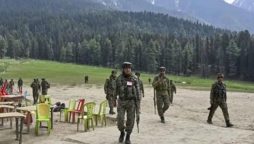 حملے سے قبل اور بعد میں مسلمانوں نے سیاحوں کی خدمت میں اہم کردار ادا کیا