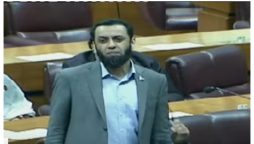 جنگ بھارت نے شروع کی ختم ہم کریں گے، عطاء اللہ تارڑ