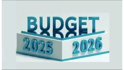 وفاقی بجٹ 26-2025: تنخواہوں میں اضافے کیلئے 4 تجاویز تیار