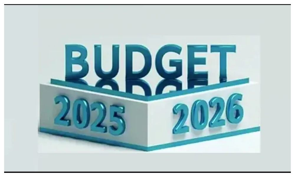 وفاقی بجٹ 26-2025: تنخواہوں میں اضافے کیلئے 4 تجاویز تیار