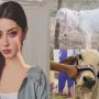 قربانی کی روح کو سمجھیں، عیدالاضحیٰ پر علیزے شاہ کا جذباتی پیغام