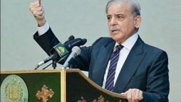 وزیر اعظم نے سیلاب زدہ علاقوں میں بجلی بلز کی وصولی سے روک دیا