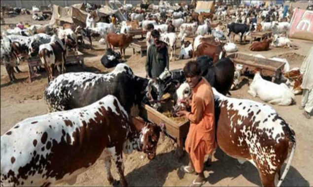 عوام کیلئے بڑی خوشخبری؛ مویشی منڈیوں سے متعلق اہم خبر