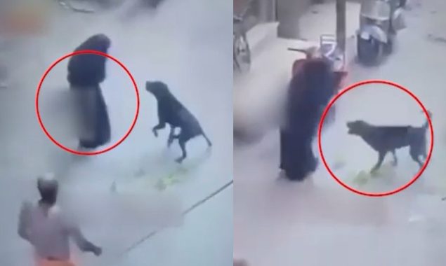 بھارتی انتہاپسند ہندوؤں کی ظلم کی حدیں پار؛ مسلمان خاتون پر کتا چھوڑ دیا گیا