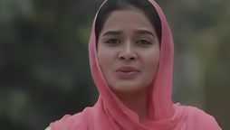 پاکستان سے محبت پر مبنی سکھ گلوکارہ کا گانا سوشل میڈیا پر وائرل، بھارت میں پابندی عائد