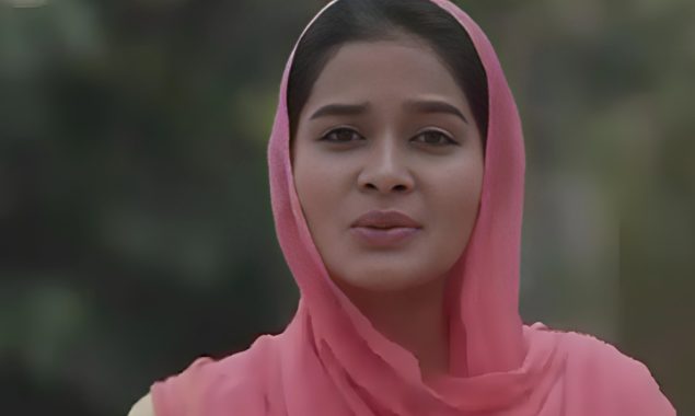 پاکستان سے محبت پر مبنی سکھ گلوکارہ کا گانا سوشل میڈیا پر وائرل، بھارت میں پابندی عائد