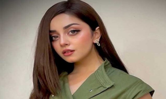 ہرچی پر کام ورنہ بد تمزی ، علیزے کی تنقید