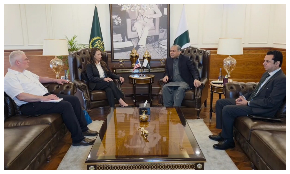 وفاقی وزیرداخلہ سے امریکہ کی قائم مقام سفیر کی ملاقات، بھارت کے حملے کے بعد کی صورتحال پر تبادلہ خیال