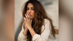 بھارت میں سوشل میڈیا اکاؤنٹس بلاک؛ اشنا شاہ کا مودی حکومت پر طنز