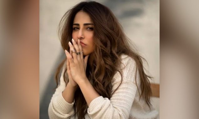 بھارت میں سوشل میڈیا اکاؤنٹس بلاک؛ اشنا شاہ کا مودی حکومت پر طنز