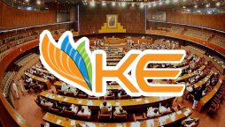 سندھ اسمبلی میں کے الیکٹرک کے خلاف قرارداد کثرت رائے سے مسترد