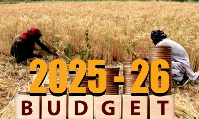 وفاقی بجٹ 2025-26: کسانوں کے لیے بڑے ریلیف کا امکان