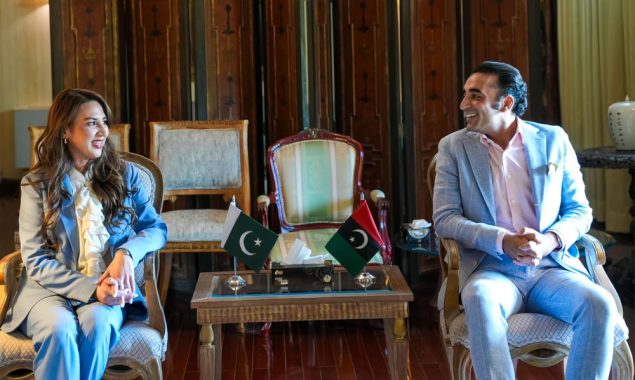 پاکستان امریکا کے ساتھ تجارتی و اقتصادی روابط کو مزید وسعت دینے کا خواہاں ہے