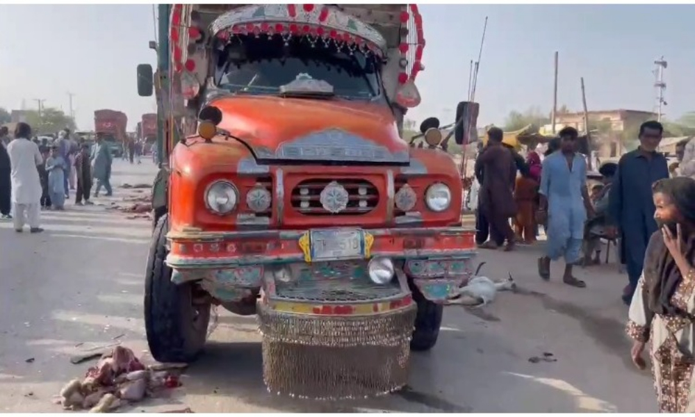 سیہون بائی پاس پر  تیزرفتار ٹرک کی زد میں آکر 30 بھیڑ بکریاں ہلاک