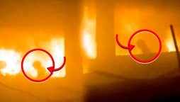 ہمیں اس قتلِ عام کو فوری روکنا ہوگا۔ فلسطینی ہمیں معاف کر دیں