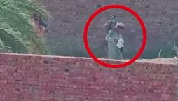 بھارتی اسپانسرڈ فتنہ الخوارج کا مکروہ چہرہ بے نقاب؛ معصوم بچوں کو انسانی ڈھال بنانے کی ویڈیو منظر عام پر