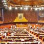 قومی اسمبلی میں غزہ پر اسرائیلی جارحیت کے خلاف مذمتی قرارداد متفقہ طور پر منظور
