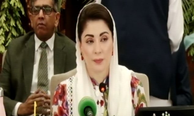 اپنے گھروں کی چھتوں پر پرندوں کے لیے پانی رکھیں