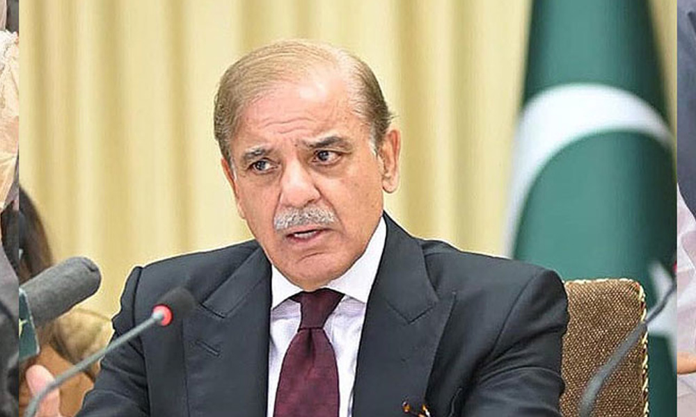 وزیر اعظم کی ہدایت