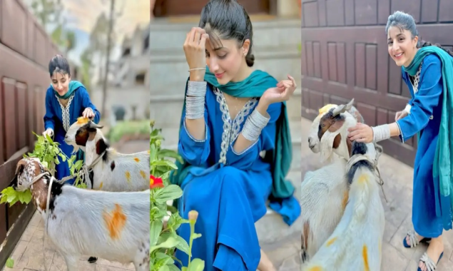 ماورا حسین کی سسرال میں پہلی عید؛، قربانی کے جانوروں کے ساتھ تصاویر وائرل