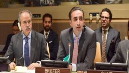 پہلے بچر آف گجرات، اب ٹیمو کاپی، بلاول بھٹو نے پاکستانیوں کے دل جیت لیے