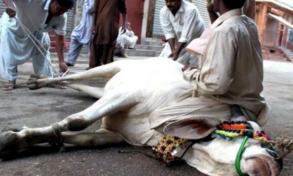 سنت ابراہیمیؑ