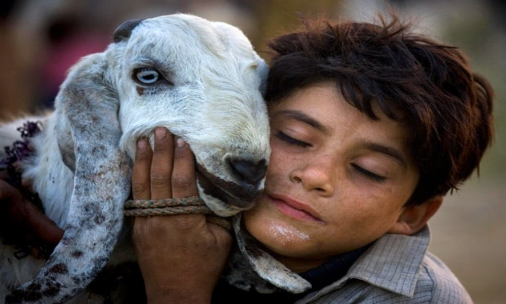 سنت ابراہیمیؑ