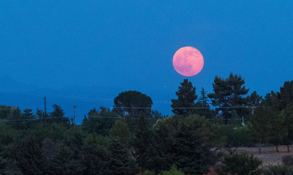 دنیا بھر میں فلک پر