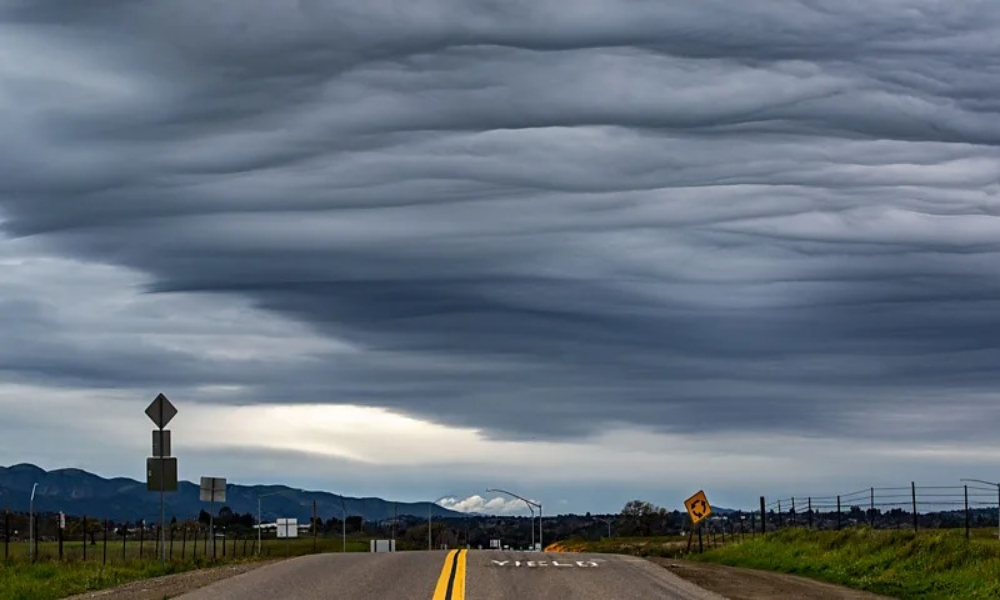فضا میں موجودخوردبینی مخلوق موسم اورصحت